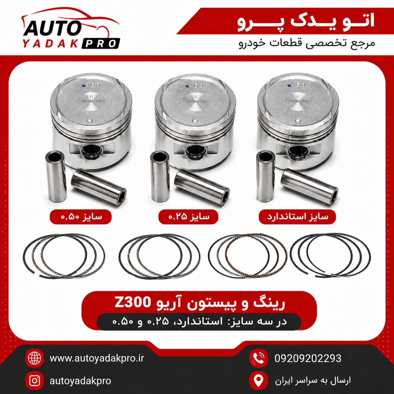 رينك و پيستون آريو ۱۶۰۰ - Z300